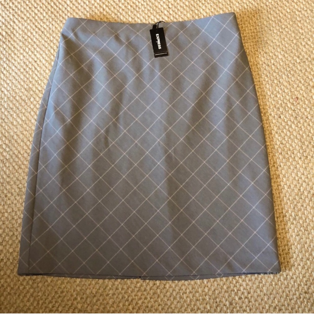 Express gray skirt